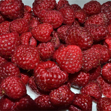«RASPBERRIES, SOLD BY WEIGHT»